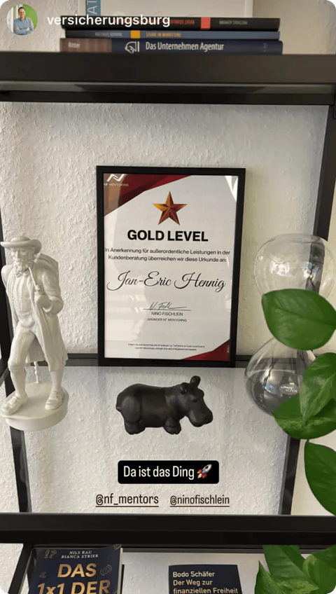 Instagram-Story eines Members: gerahmte Urkunde „GOLD LEVEL“ im Regal, Text „Da ist das Ding“